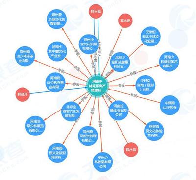 少林寺进军房地产 无形资产对外投资16家公司的战略布局与管理