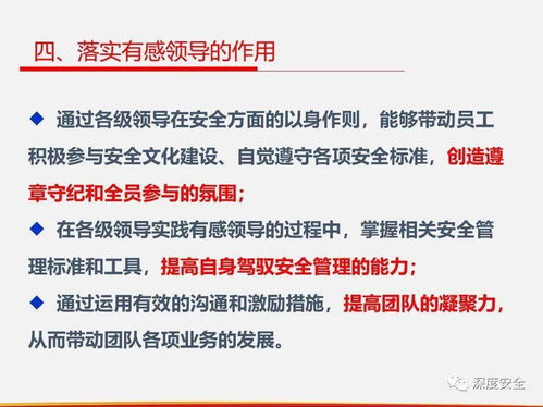 落实直线组织安全管理 有感领导、直线责任、属地管理与对外投资管理的协同实践
